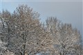 bornholmhöstenvintern2008 januari2009 412.JPG