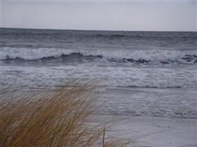 Böda - Från strandkanten