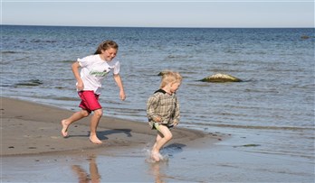 Bus på stranden till Böda Hamns Camping