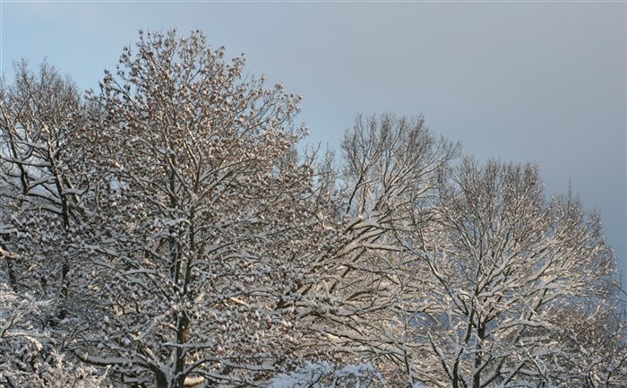 Ekar B&ouml;da Pr&auml;stg&aring;rd