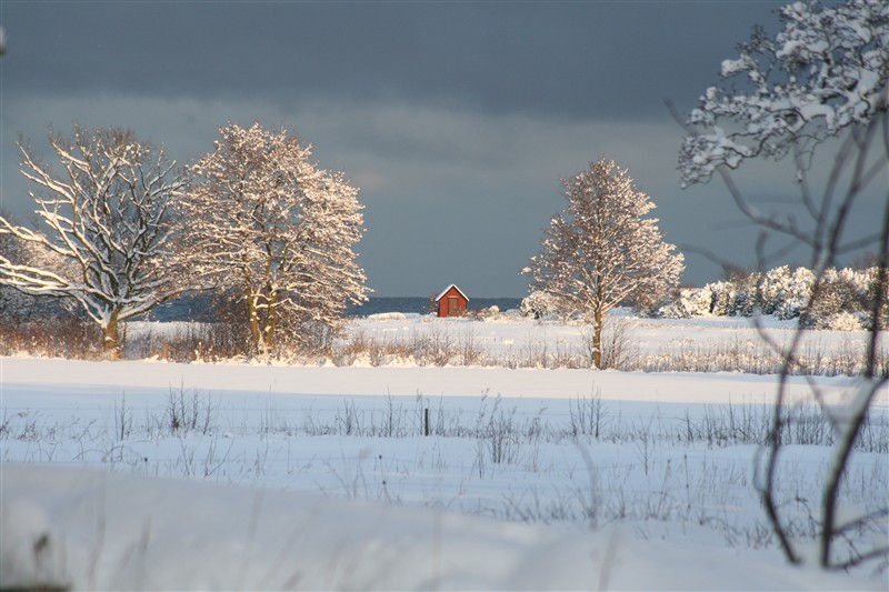 bornholmhöstenvintern2008 januari2009 422.JPG